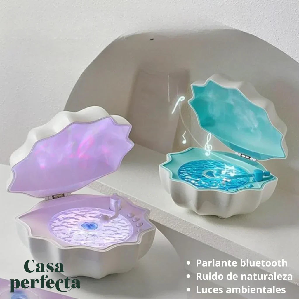 Lámpara Decorativa de Concha | Iluminación de Ambiente